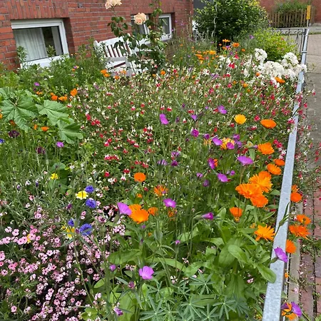 Апартаменты Kim 1 *